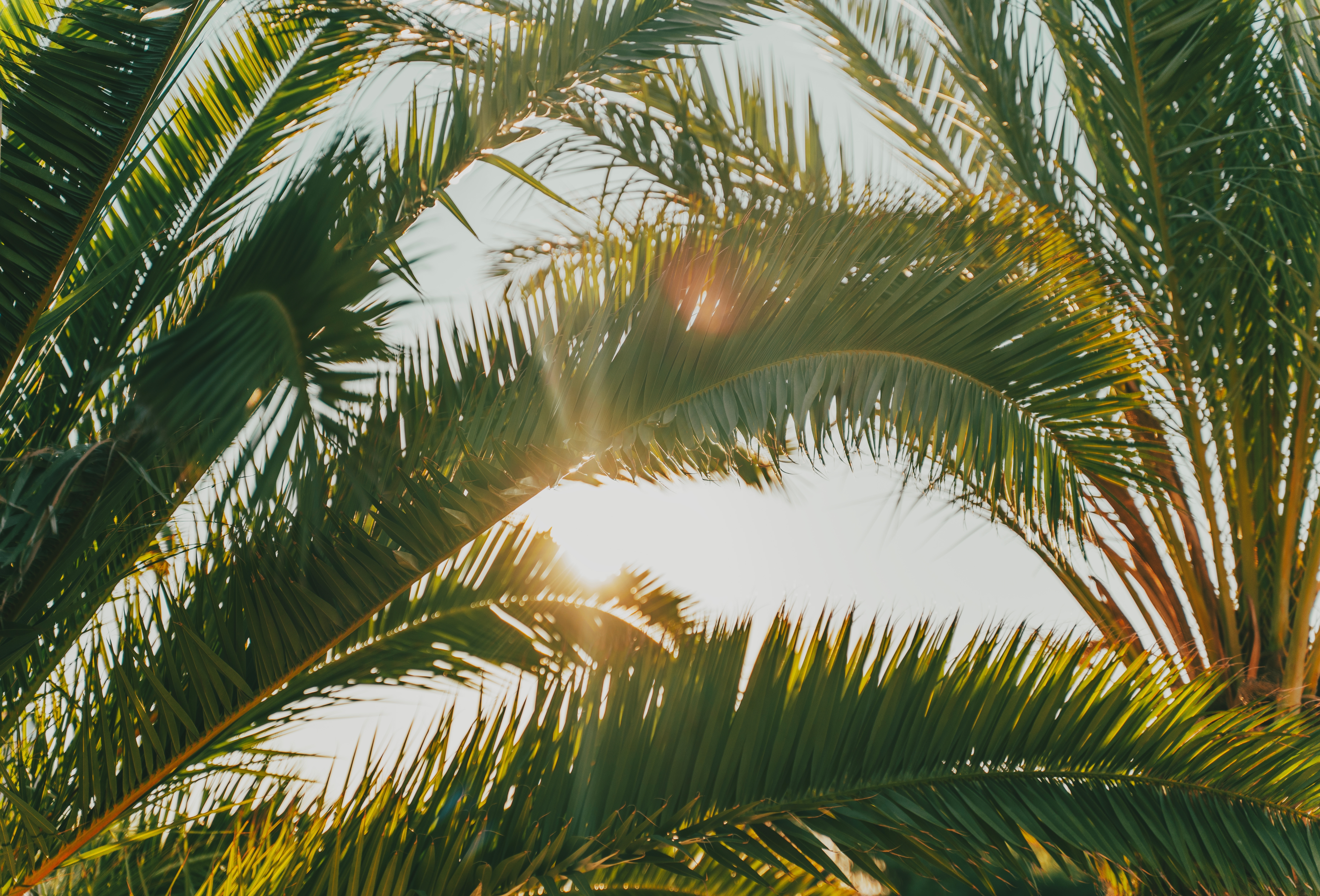 Nyári szünet eleji utazások